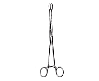 Straight Serrated Foerster Sponge Forceps