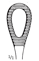 Straight Serrated Foerster Sponge Forceps (37386)