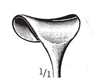 Desmarres Retractor (54362)