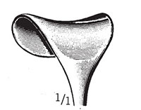 Desmarres Retractor (54364)