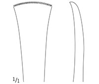 Serrated Curved Edge Cushing Periosteal Elevator