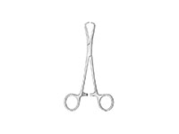 Slightly Curved Glenoid Perforating Forceps