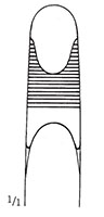 Lowman Bone Clamp (47164)