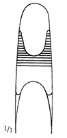 Lowman Bone Clamp (47166)