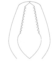 Standard Model Lane Bone Holding Forceps