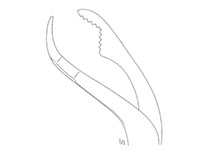 Verbrugge Bone Holding Forceps (47098)