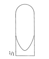 Straight Stille-Luer Rongeur (47458)