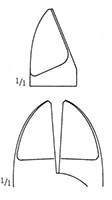 Side Cutter Welded Carbide Jaws (46621)