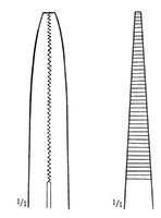 Long Jaw Needle Nose Plier (48250)