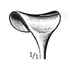 Desmarres Retractor (54362)