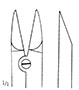 Straight Kleinert-Kutz Forceps (47555)