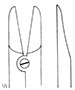 Ruskin-Liston Forceps (47540)